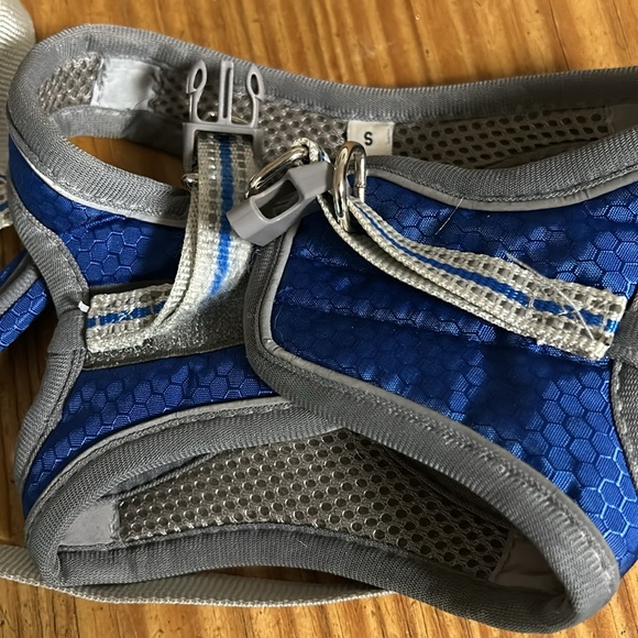 Small Dog Collection - Picture 7 of 11